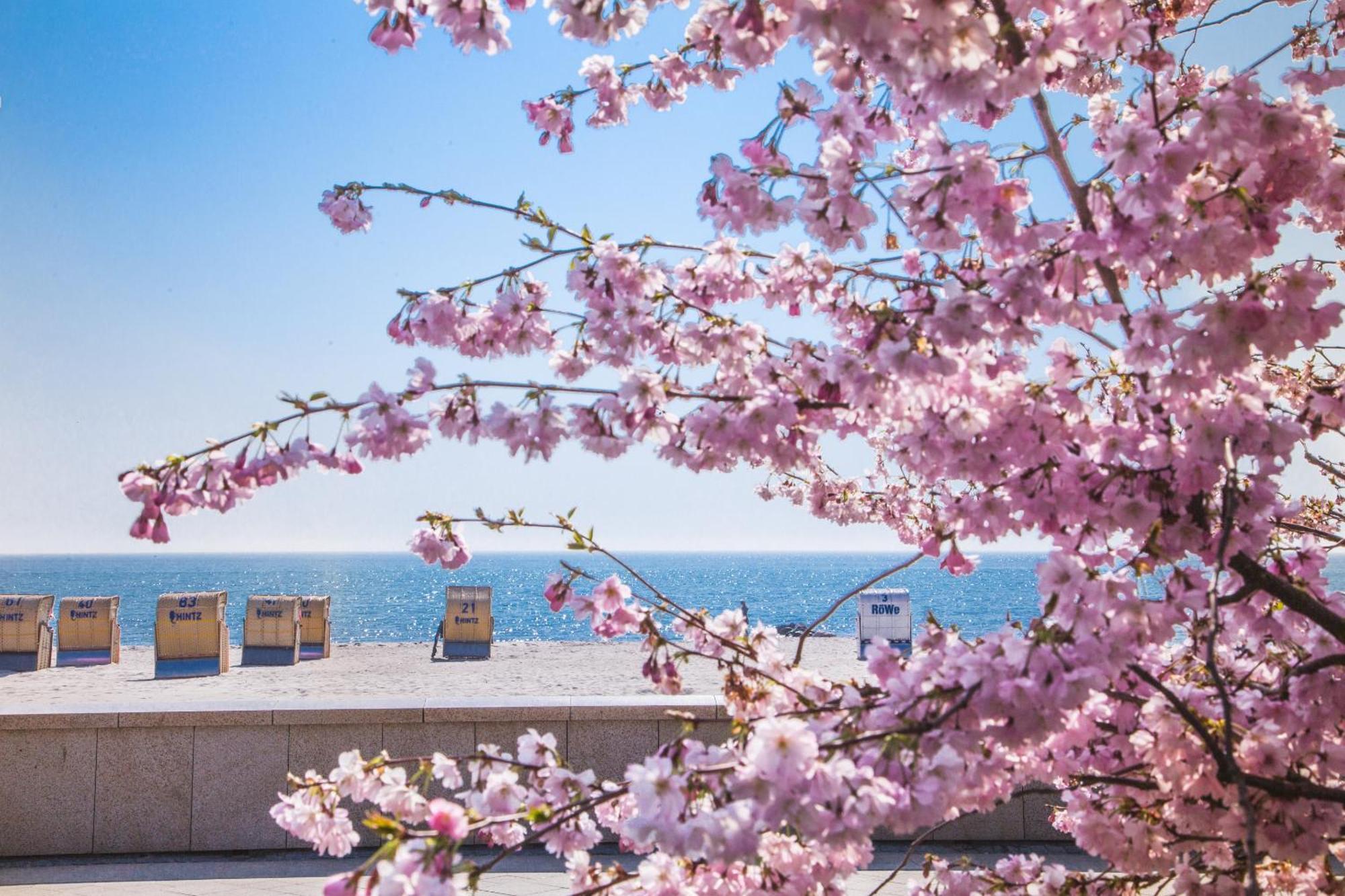 Pink Und Meer - Meerblick, Sauna, Kamin & Whirlpool バーベ エクステリア 写真